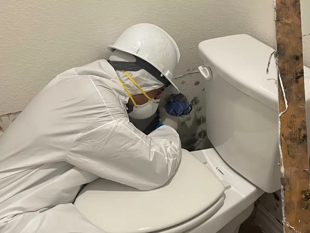 Mold Remediation McKinney TX – Professional inspection and removal of hidden mold in residential and commercial properties